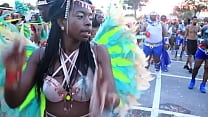 Miami Carnival in miami Carnival vibes